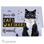 Personalised Rachael Hale 'You're The Cats Whiskers' Card - Image 6