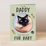 Personalised 'From The Cat' Photo Upload Greeting Card