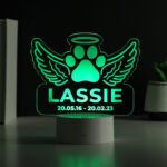 Personalised Pet Memorial Colour Changing LED Light - Image 6