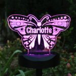 Personalised Butterfly Shaped Colour Changing LED Solar Light - Image 4