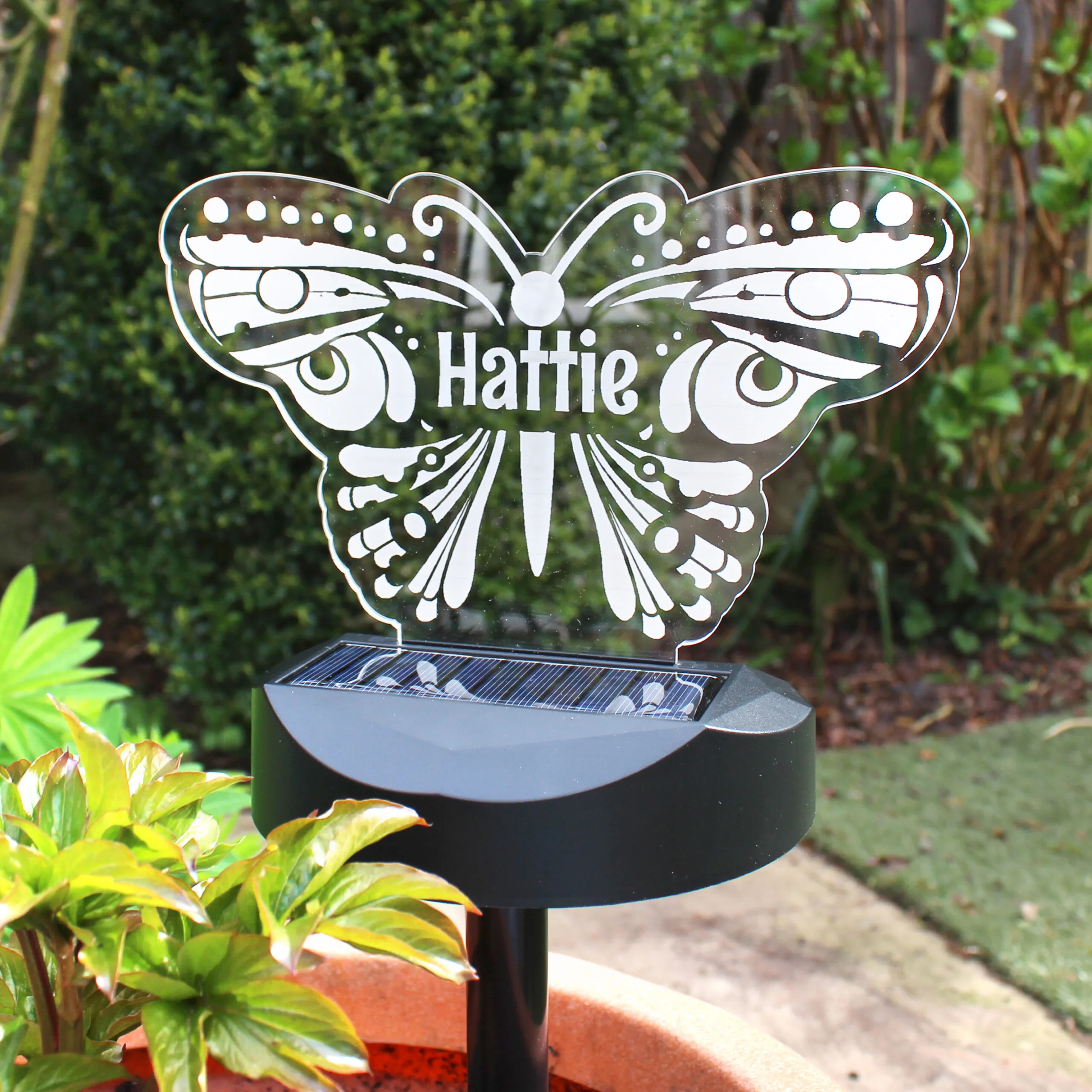 Personalised Butterfly Shaped Colour Changing LED Solar Light - Image 7