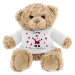 Personalised 'Merry Christmas' Spotty Santa Design Plush Teddy Bear - Image 3