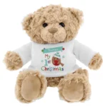 Personalised Felt Stitch Robin Design 'My 1st Christmas' Plush Teddy Bear - Image 3
