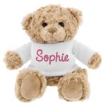 Personalised Name Only Pink Text Plush Teddy Bear - Image 4