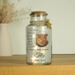 Personalised Pet Memorial Photo Upload LED Light-Up Glass Jar - Image 4