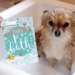 Personalised Puppy Cards: For Milestone Moments (24 Pack) - Image 3