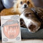 Personalised Puppy Cards: For Milestone Moments (24 Pack) - Image 8