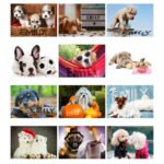 Personalised 'Barking Mad' A4 Wall Calendar - Image 2