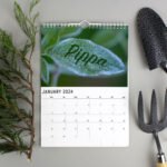 Personalised Gardening A4 Wall Calendar - Image 3