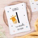 Personalised Animals Design New Baby Milestone Cards (32 Pack) - Image 4