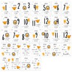 Personalised Animals Design New Baby Milestone Cards (32 Pack) - Image 6