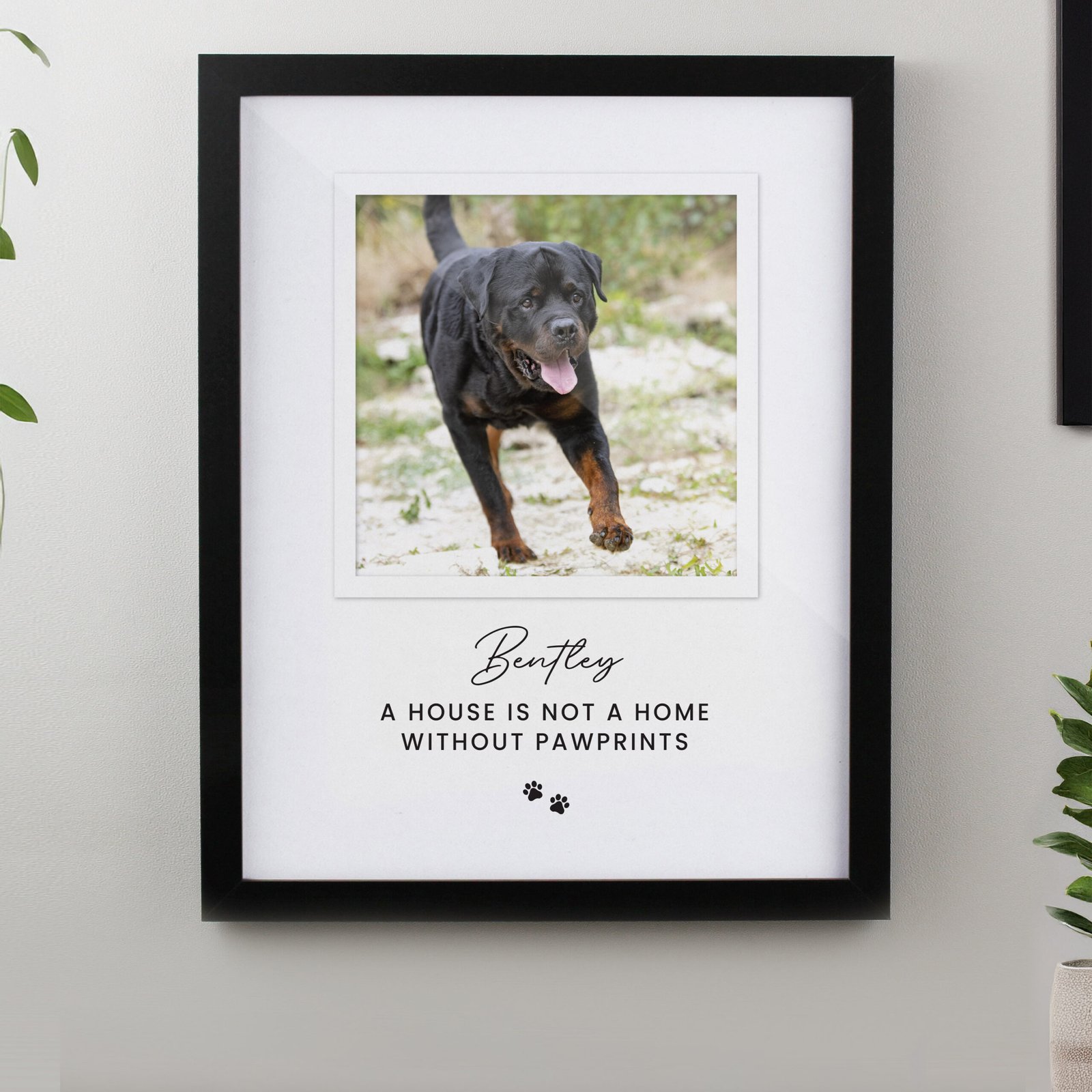 P0512AF94 Personalised Pet Pawprints Motif Photo Upload Black Framed Print Personalised Pet Pawprints Motif Photo Upload Black Framed Print - Image 1