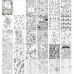 Personalised Gardening Themed Colouring Book - Image 6