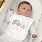 Personalised Pink Elephant Design 0-3 Months Baby Bib