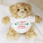 Personalised 'Merry Christmas' Plush Teddy Bear