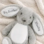 Personalised Any Message Plush Bunny Rabbit - Image 3
