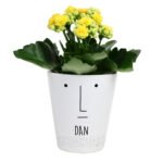 Personalised 'Mr Face' Ceramic Plant Pot - Image 4