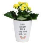 Personalised Any Message Rainbow Motif Ceramic Plant Pot - Image 4