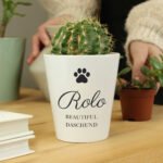 Personalised Pet Paw Print Motif Ceramic Plant Pot - Image 2