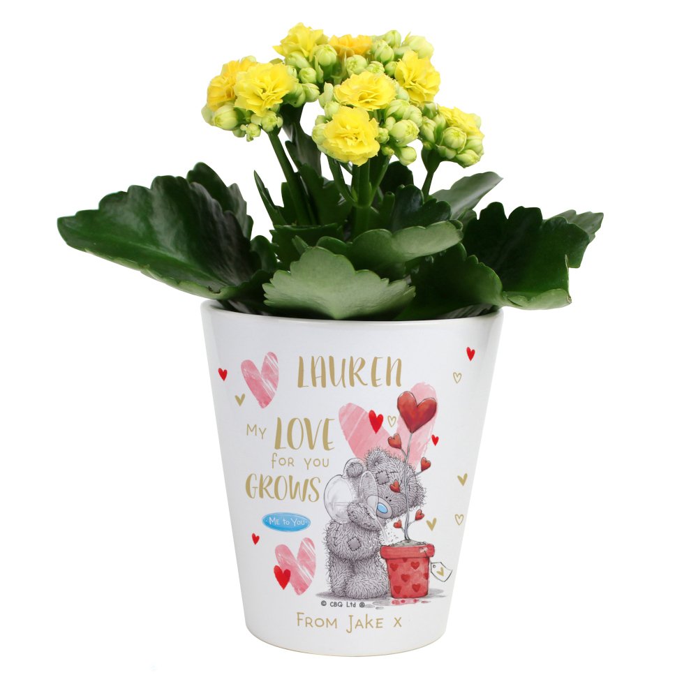 Personalised Me to You 'My Love For You Grows' Ceramic Plant Pot - Image 4