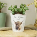 Personalised Highland Cow Design Ceramic Plant Pot - Image 4