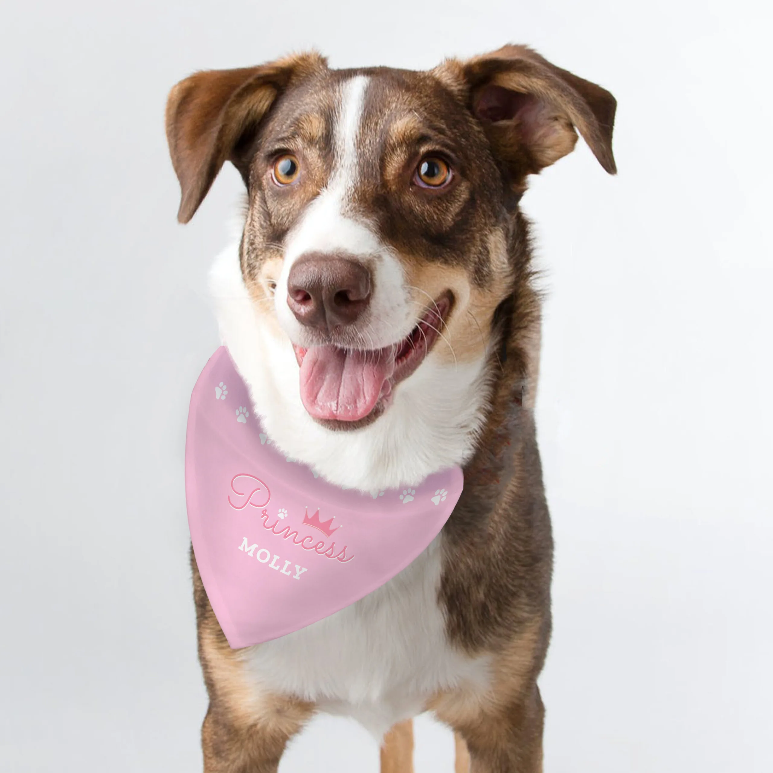 Personalised 'Princess' Crown Motif Pink Dog Bandana - Image 2