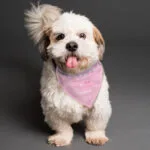 Personalised 'Princess' Crown Motif Pink Dog Bandana - Image 3