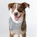 Personalised Any Message Paw Print Motif Dog Bandana - Image 2