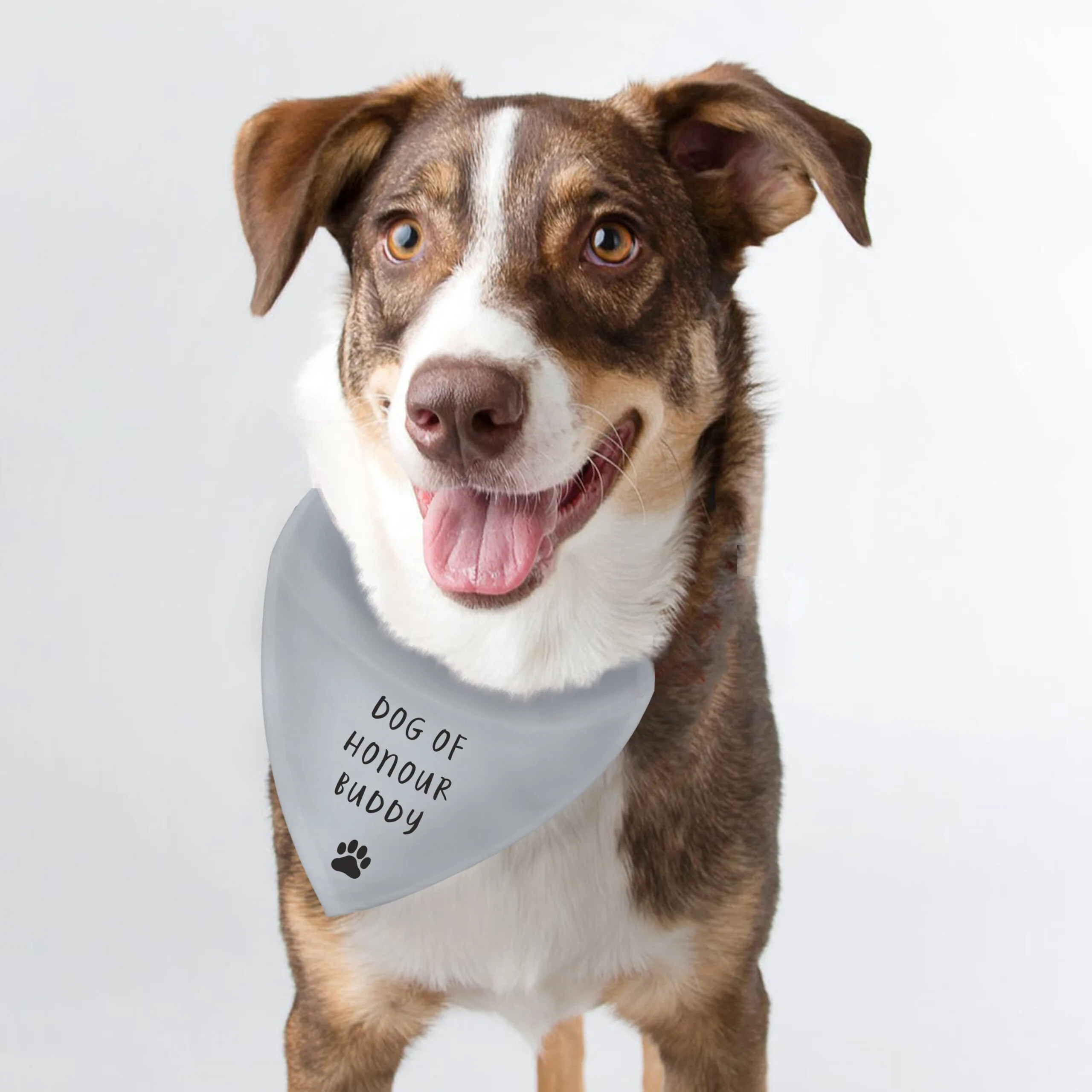Personalised Any Message Paw Print Motif Dog Bandana - Image 2