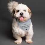 Personalised Any Message Paw Print Motif Dog Bandana - Image 3