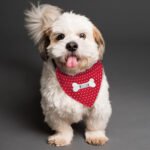 Personalised Polka Dot Design Red Dog Bandana - Image 3
