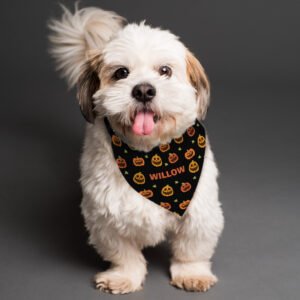 P0810A27 Personalised Halloween Pumpkin Patch Design Dog Bandana 2