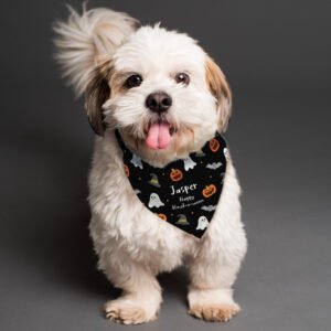 P0810A28 Personalised Any Message Halloween Themed Dog Bandana 2