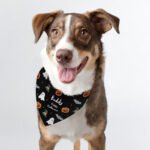 Personalised Any Message Halloween Themed Dog Bandana - Image 5