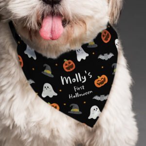 P0810A28 Personalised Any Message Halloween Themed Dog Bandana