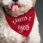 Personalised 'Woofs You' Red Dog Bandana - Image 3