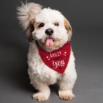 Personalised 'Woofs You' Red Dog Bandana - Image 4