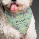 Personalised Easter Bunny Themed Dog Bandana