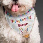 Personalised 'Happy Birthday' Dog Bandana