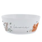 Personalised Children's Woodland Animals Design Plastic Bowl - Image 4