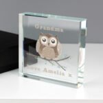 Personalised Woodland Owl Design Crystal Glass Token