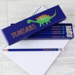 Personalised Children's Dinosaur Motif Box of 12 Blue HB Pencils - Image 4