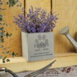 Personalised Pet Paw Print Motif Memorial Concrete Plant Pot - Image 3