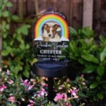 Personalised 'Rainbow Bridge' Pet Memorial Outdoor LED Colour Changing Solar Light