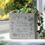 Personalised Any Message Pumpkin Design Concrete Plant Pot - Image 2