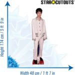 Troye Sivan 'White Suit' (Australian Singer/Songwriter) Lifesize + Mini Cardboard Cutout - Image 3
