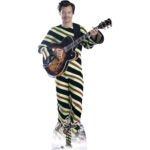 Harry Styles 'Jumpsuit & Guitar' (English Singer/Songwriter) Lifesize + Mini Cardboard Cutout