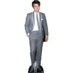 Joe Keery 'Grey Suit' (American Actor) Lifesize + Mini Cardboard Cutout