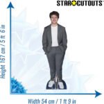 Gaten Matarazzo 'Grey Suit' (American Actor) Lifesize + Mini Cardboard Cutout - Image 3