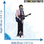 Harry Styles 'Pink Jacket & Guitar' (English Singer/Songwriter) Lifesize + Mini Cardboard Cutout / Standee - Image 3